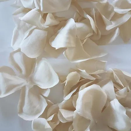 Oda ve Kahvaltı Solastobann Arthouse 1 En-suite Malin Head