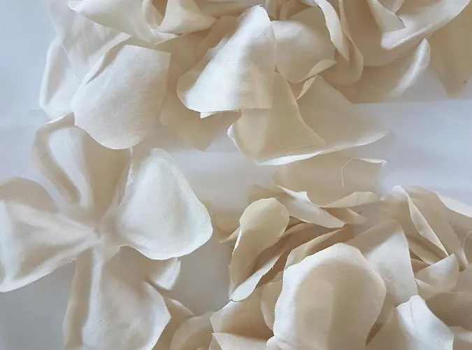 Couette-café Solastobann Arthouse 1 En-suite Malin Head